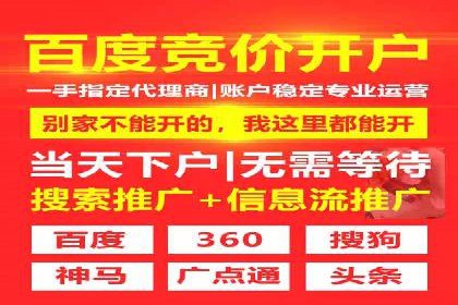 百度竞价广告投放全解析：成功案例揭秘